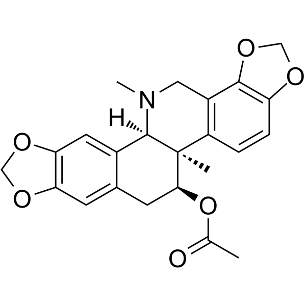Acetylcorynoline 18797-80-3
